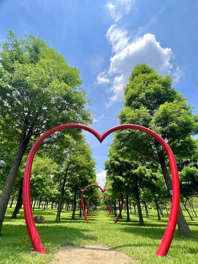 大溪河濱公園大草皮