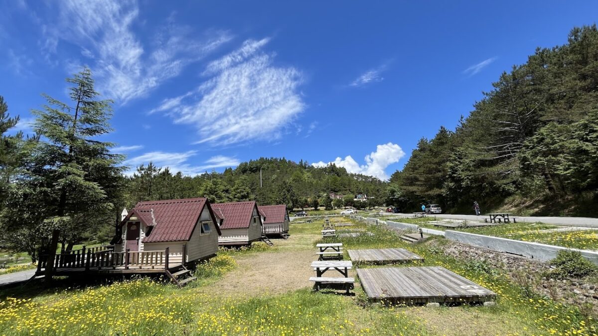福壽山農場露營區景觀