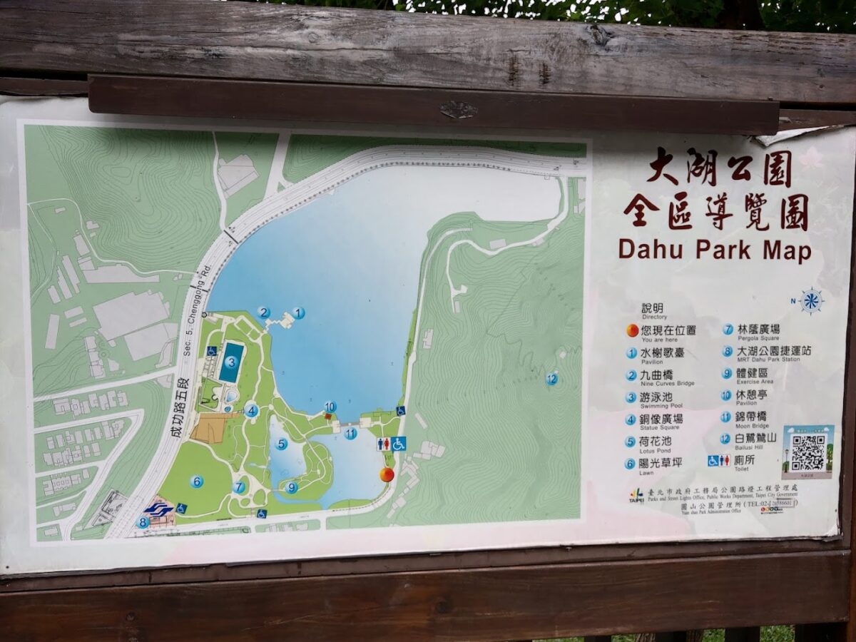大湖公園落羽松與草地