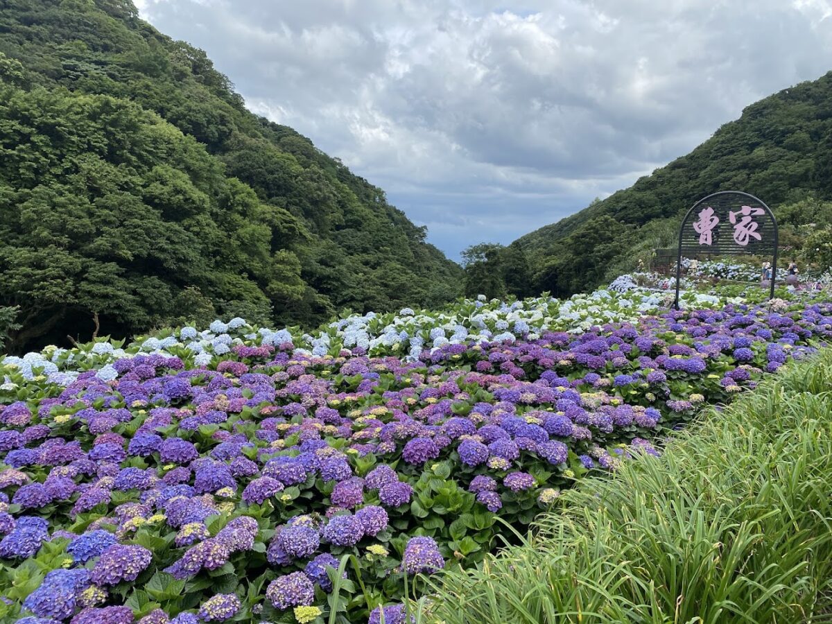 大梯田花卉生態農園