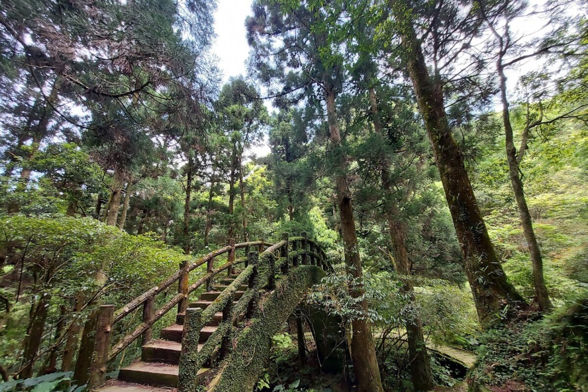 東眼山國家森林遊樂區入口美景
