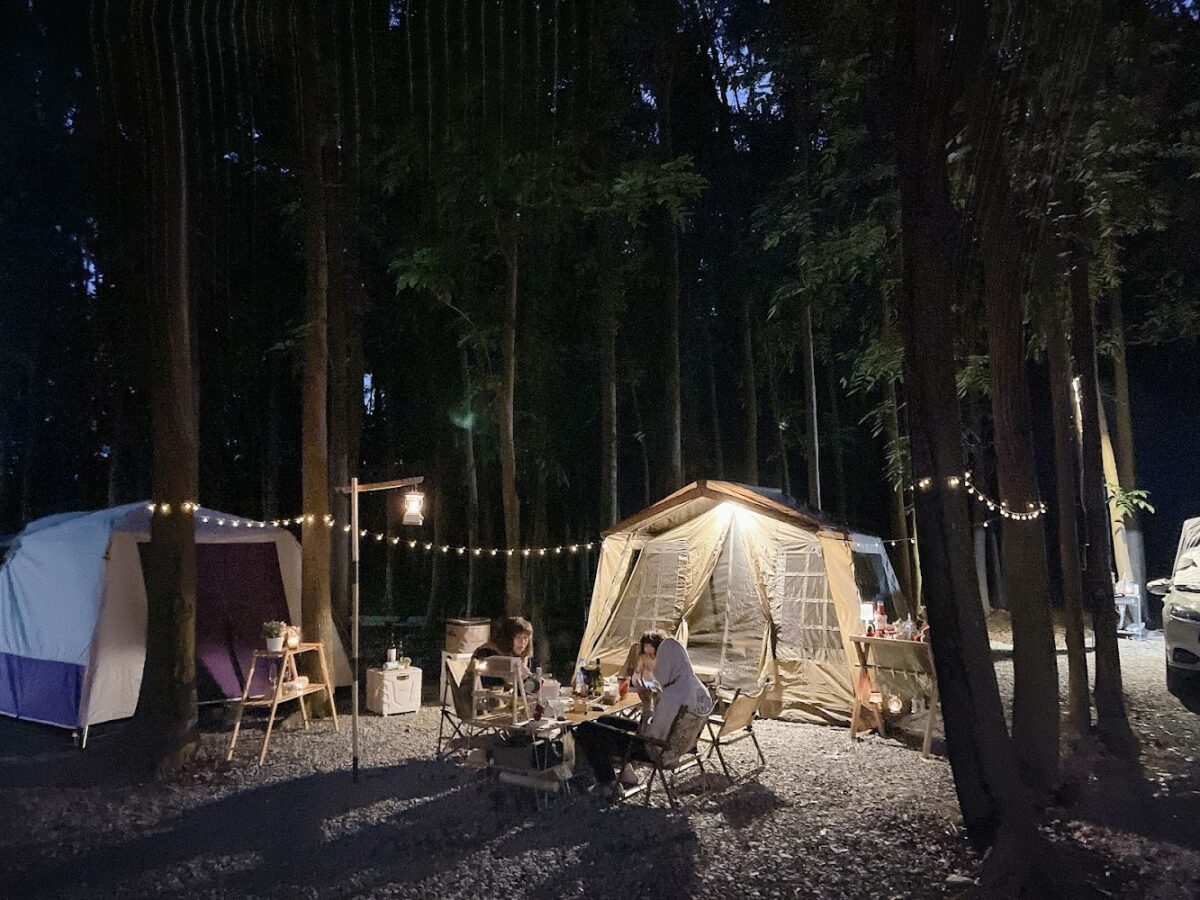 沿山森林秘境金黃落葉