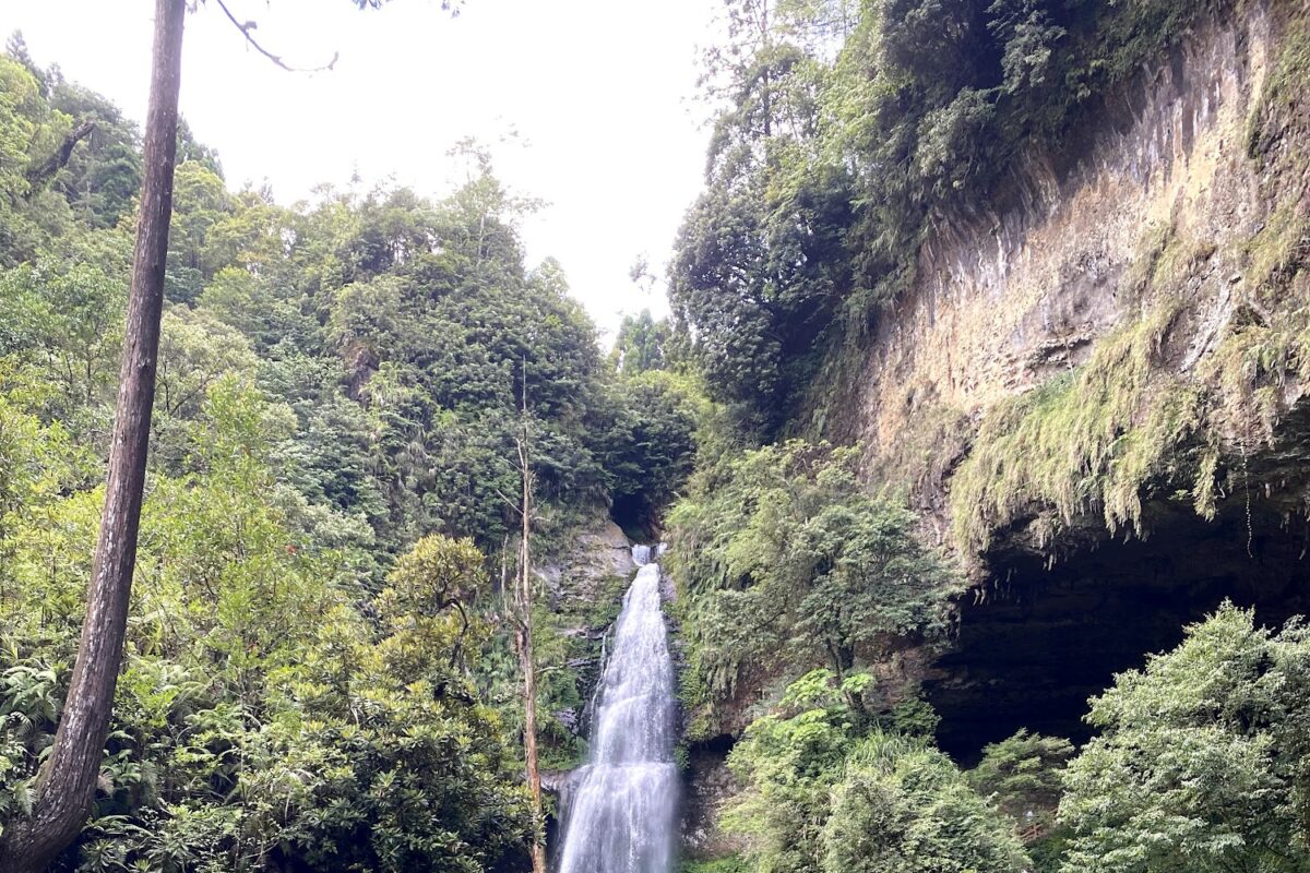 杉林溪森林生態渡假園區美景