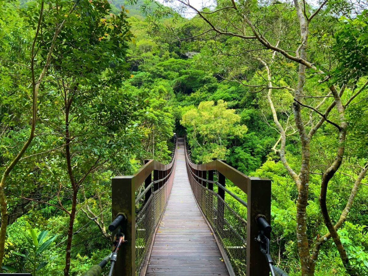 雙流國家森林遊樂區跳石步道