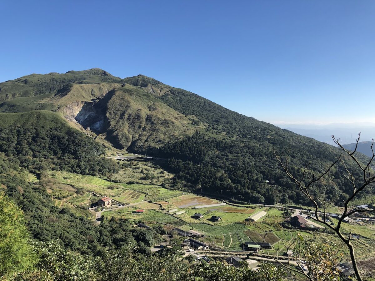 竹子湖花海