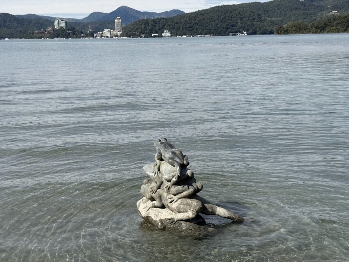 日月潭落羽松景觀