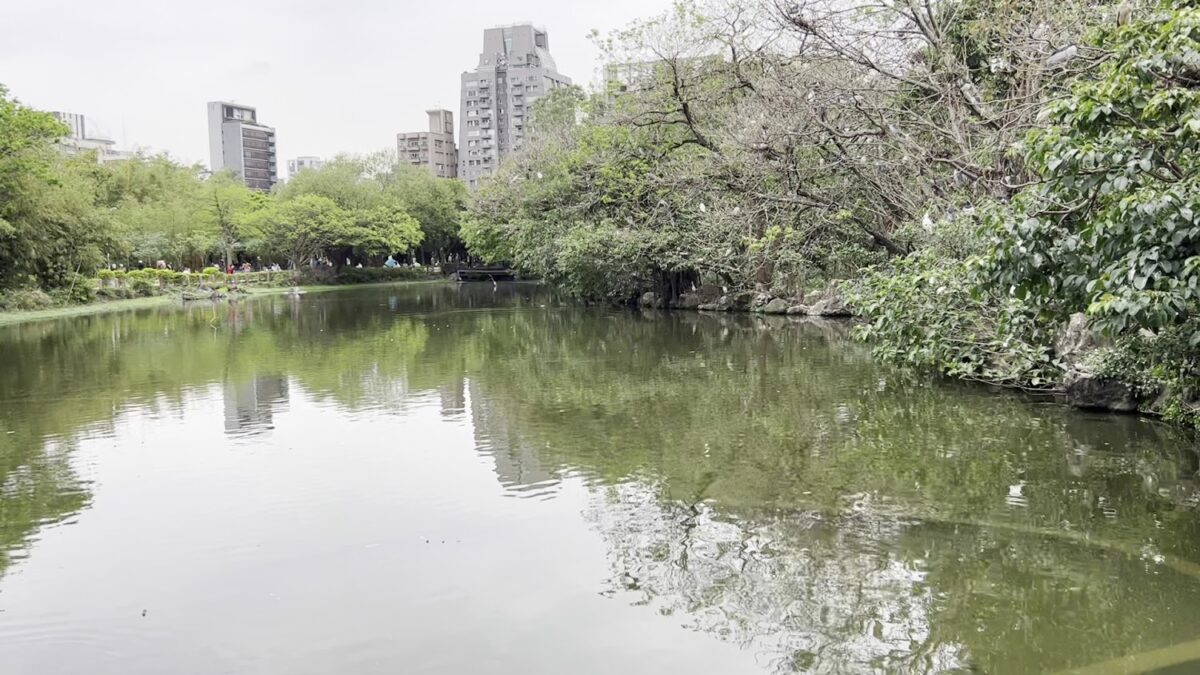 大安森林公園生態池