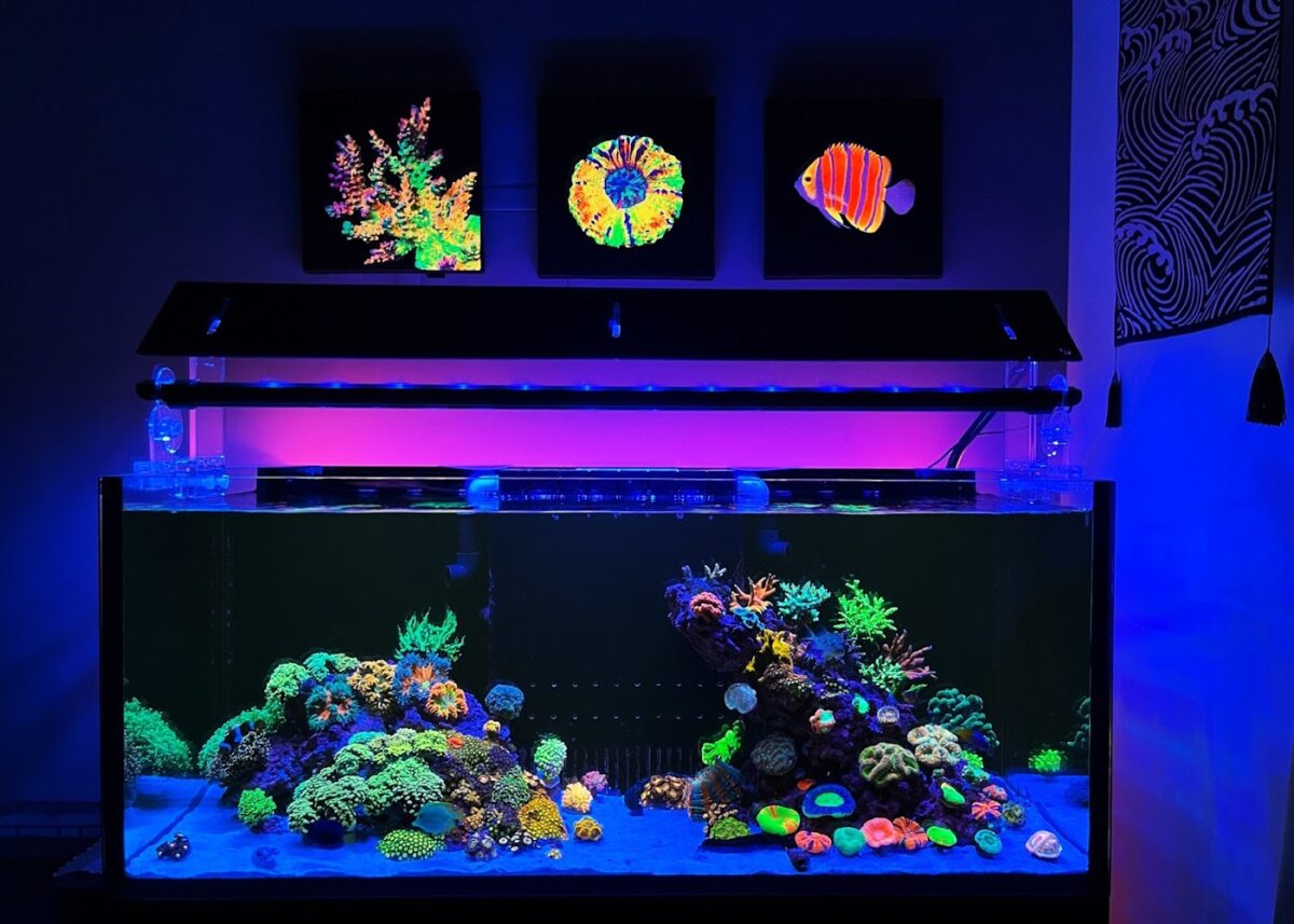 海洋工坊內部的海洋缸