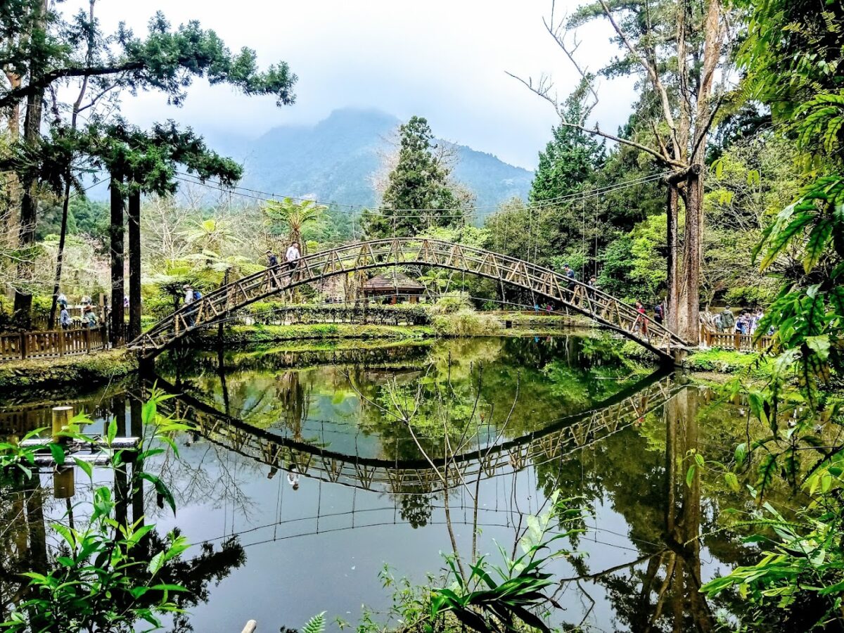 溪頭步道一隅