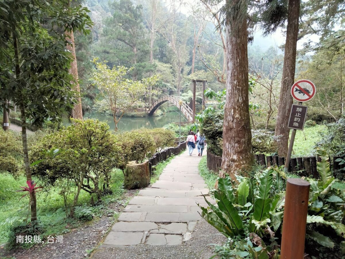 溪頭大學池著名的竹拱橋