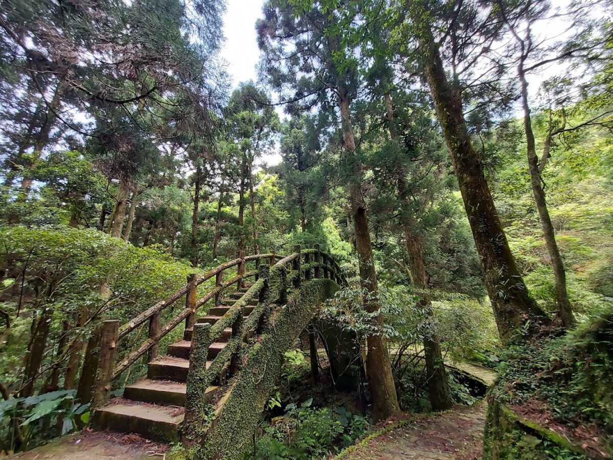 東眼山國家森林遊樂區美景