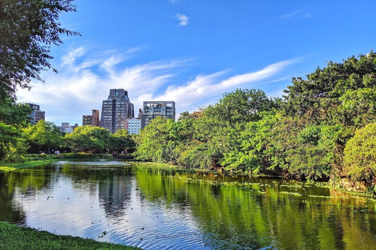 大安森林公園景觀