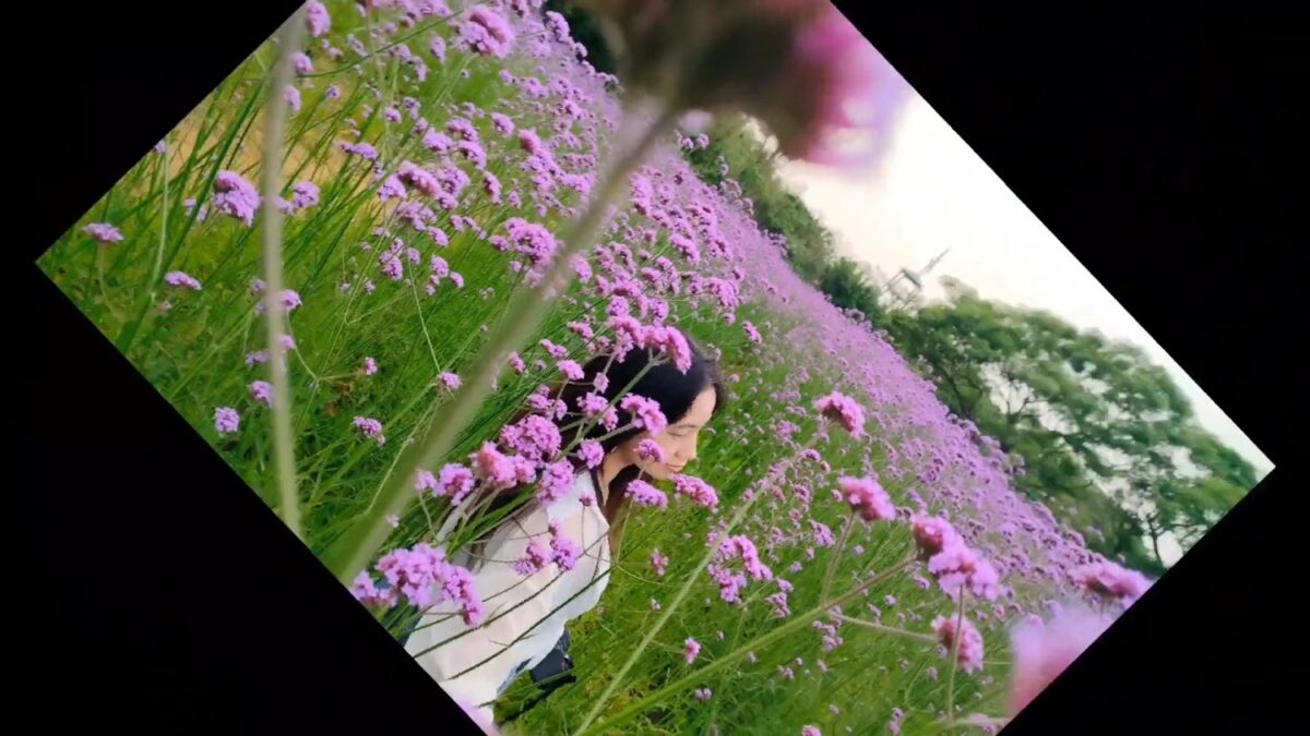 青林農場內的花卉特寫與活動紀錄