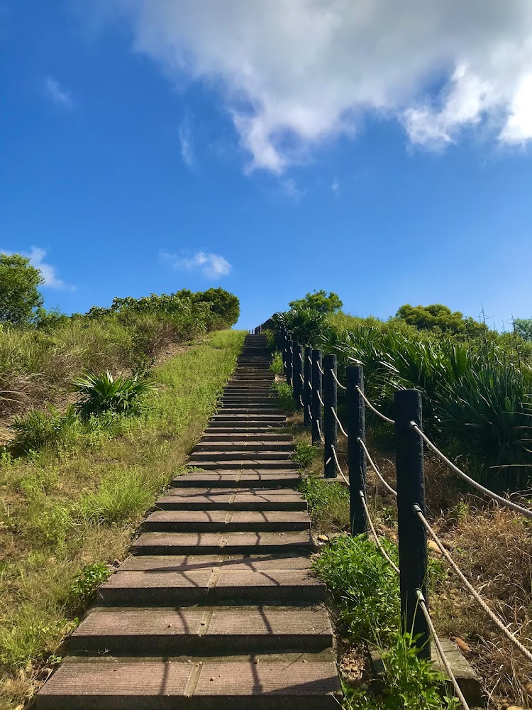 嶺頂瞭望臺海景