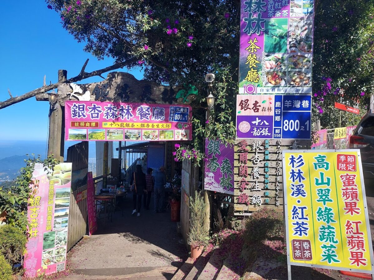 銀杏森林外觀