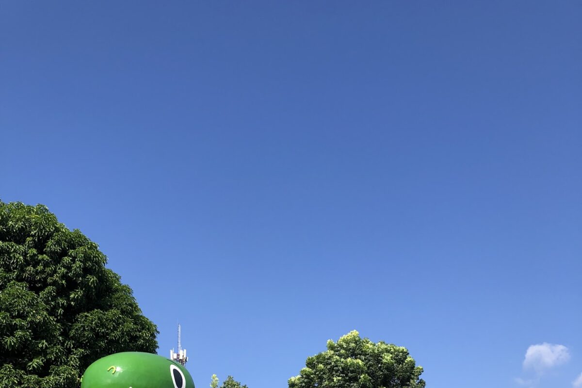 勝利動物溜滑梯公園