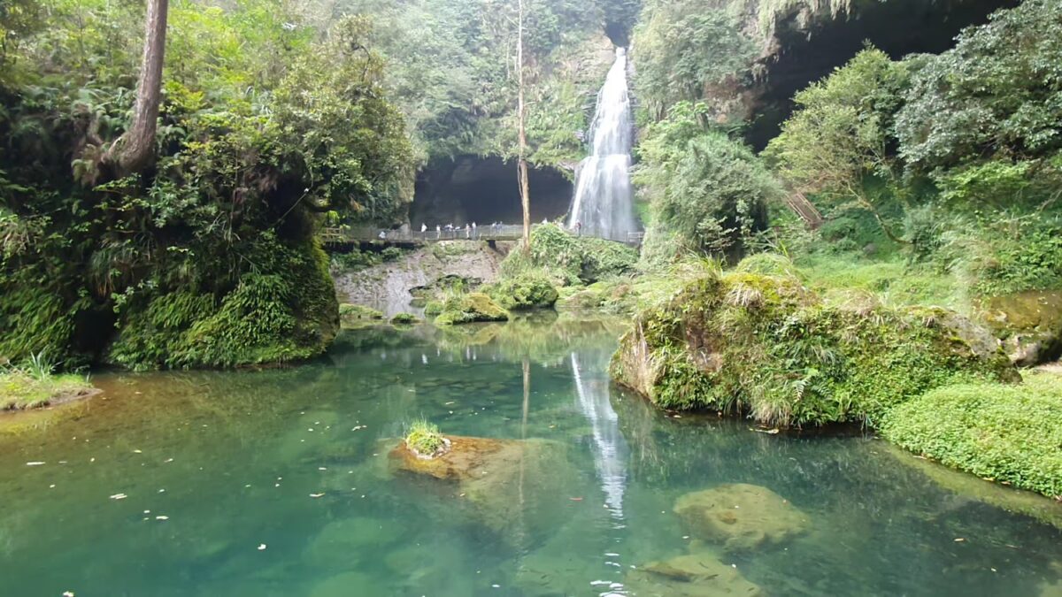 杉林溪水杉林