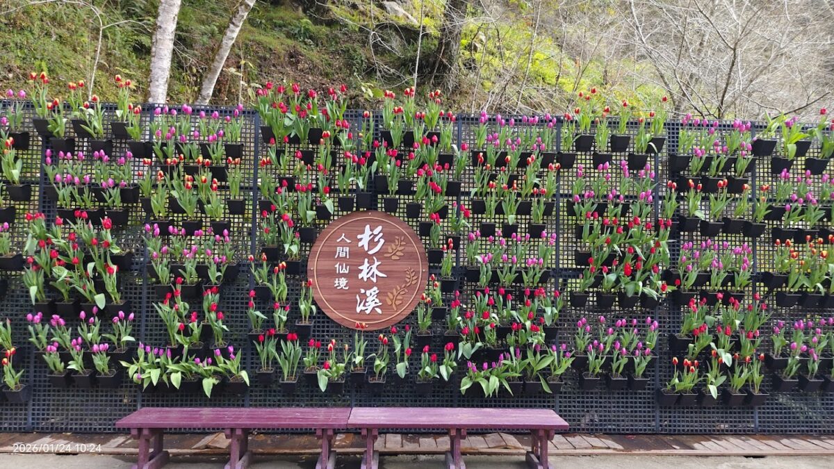 花卉中心景觀