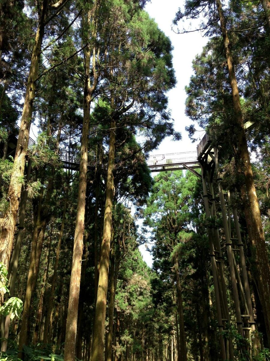 Caption (1)