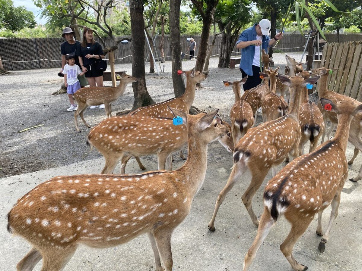 屏東親子景點｜屏東親子景點 2025：精選 8 個必玩免費公園與特色景點全攻略
