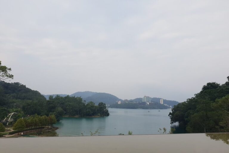向山遊客中心｜向山遊客中心 2025 旅遊攻略：朝聖全台最美清水模建築、最美單車道與絕美落羽松