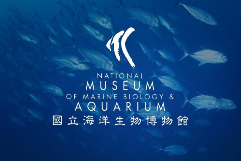 台灣哪裡好玩｜台灣哪裡好玩？2026 墾丁國家公園深度旅遊攻略：必訪景點、交通與懶人包
