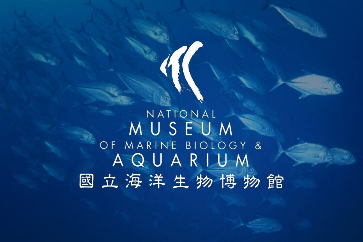 台灣哪裡好玩｜台灣哪裡好玩？2026 墾丁國家公園深度旅遊攻略：必訪景點、交通與懶人包
