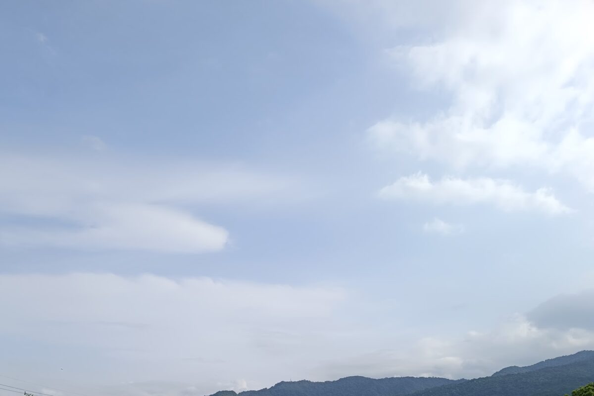 張美阿嬤農場｜張美阿嬤農場 2026 全攻略：近距離互動水豚與梅花鹿，宜蘭三星必訪日式食農體驗