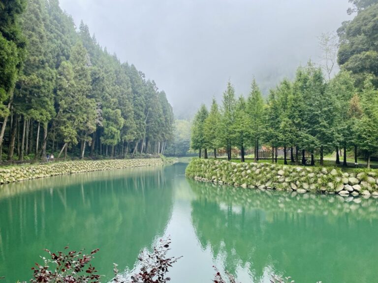 杉林溪｜杉林溪森林生態渡假園區 2026 旅遊全攻略：銀杏湖、松瀧岩瀑布與森林住宿懶人包