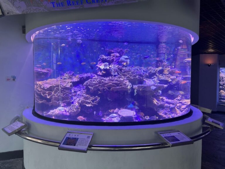 水族館｜水族館推薦 2026 全台必訪 6 大夢幻海洋空間與專業水族工作室全攻略