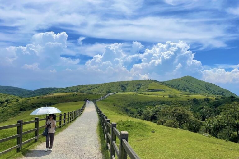 陽明山國家公園｜陽明山國家公園深度遊！2026 必訪花季、溫泉與擎天崗大草原攻略