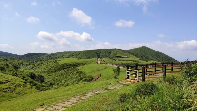陽明山｜陽明山2026旅遊全攻略：探索火山地景、四季花季與必訪景點懶人包