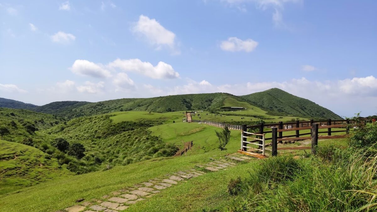 陽明山｜陽明山2026旅遊全攻略：探索火山地景、四季花季與必訪景點懶人包