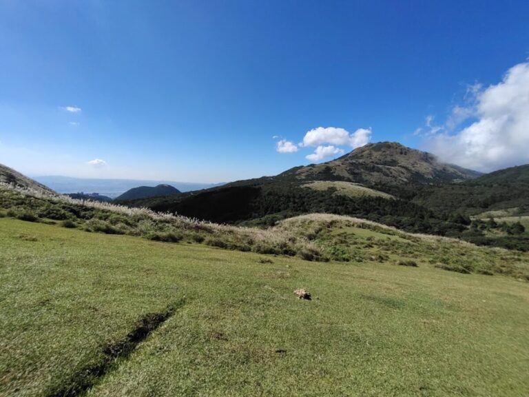 陽明山景點｜陽明山景點推薦：從擎天崗玩到竹子湖，2026 最新 5 大必去懶人包