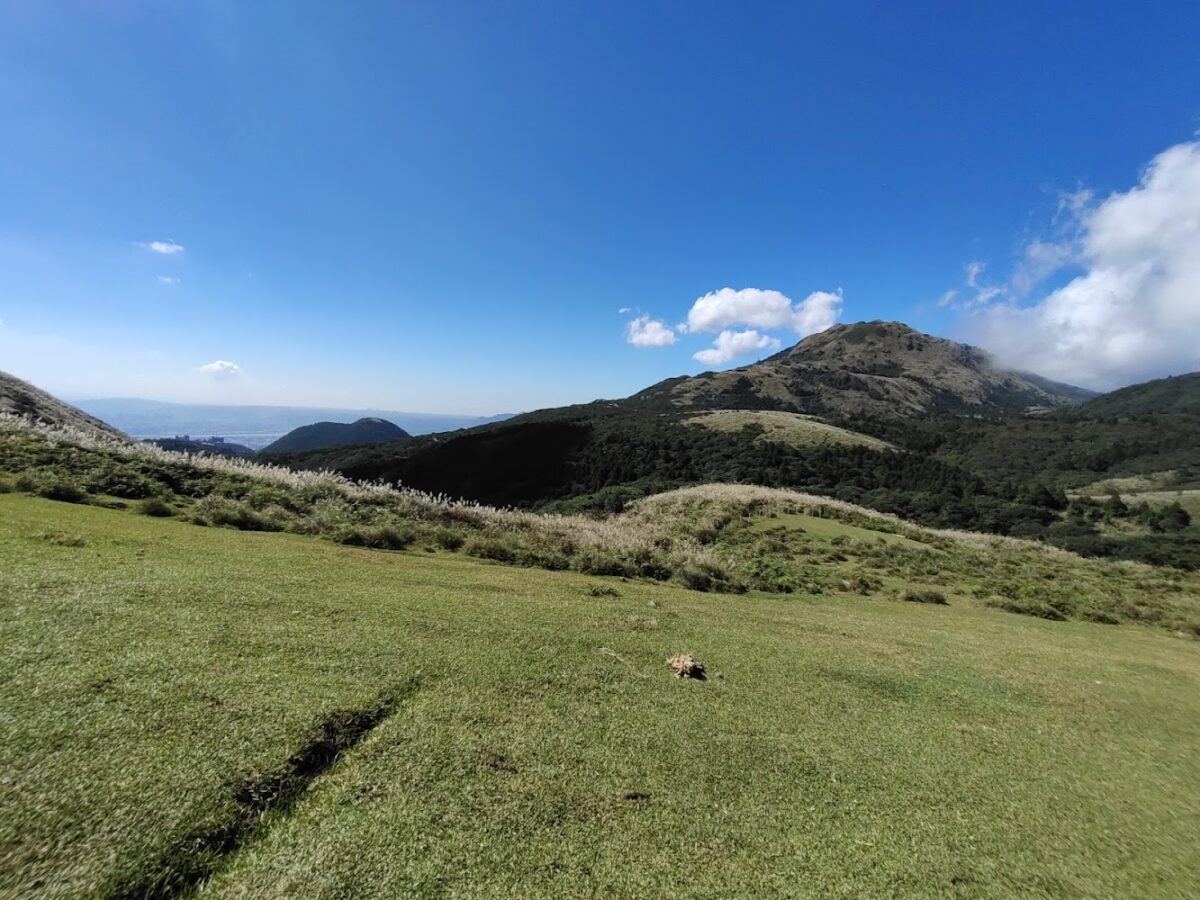 陽明山景點｜陽明山景點推薦：從擎天崗玩到竹子湖，2026 最新 5 大必去懶人包