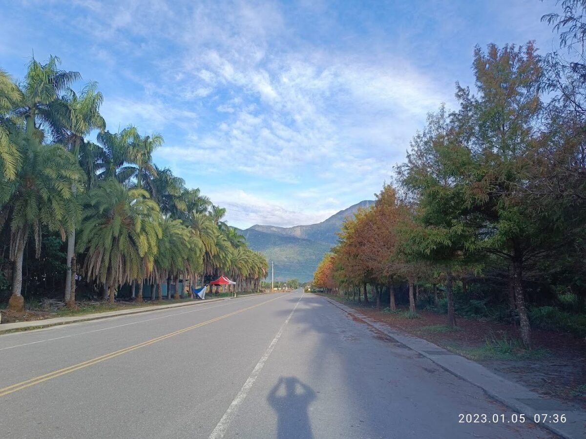 雲山水夢幻湖｜雲山水夢幻湖 2026 旅遊攻略：走進花蓮蒂芬妮綠落羽松秘境