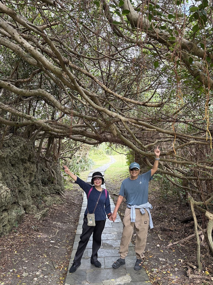 墾丁國家公園｜墾丁國家公園2026必訪景點攻略：從鵝鑾鼻燈塔到龍磐草原的熱帶之旅