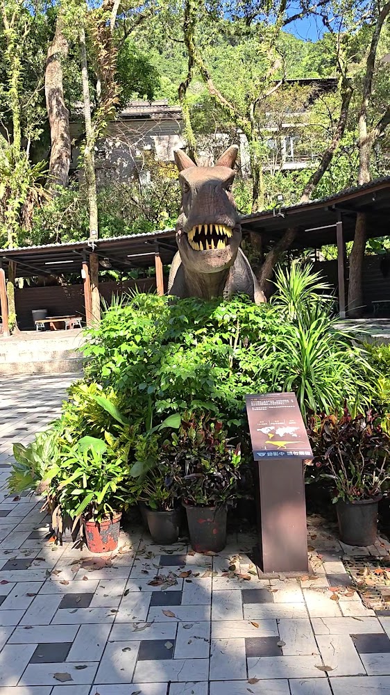 大板根｜大板根渡假村 2026 旅遊全攻略：走進亞熱帶雨林，享受美人湯與恐龍探索森林