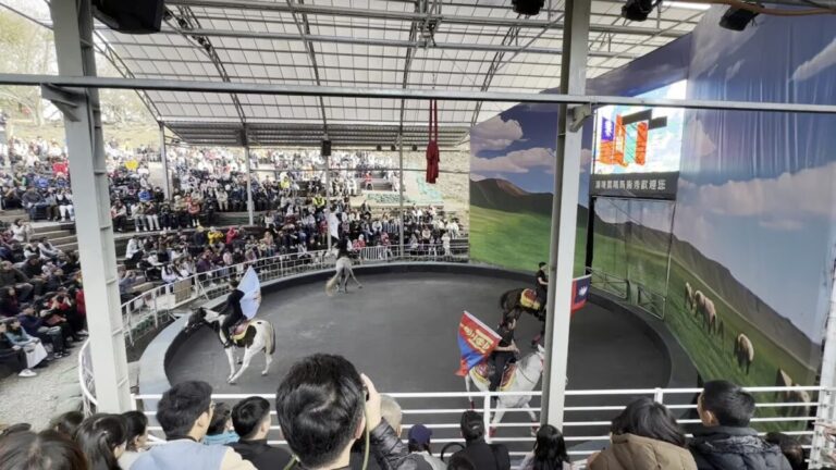清境農場｜清境農場2026最新玩法！青青草原綿羊秀、天空步道與交通住宿懶人包