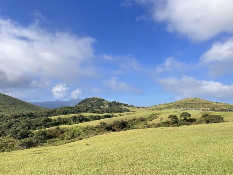 陽明山景點｜陽明山景點 2026推薦：擎天崗、竹子湖與溫泉步道一日遊懶人包