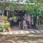 泰安溫泉｜泰安溫泉 2026 旅遊全攻略：隱身苗栗山林的極致美人湯療癒之旅