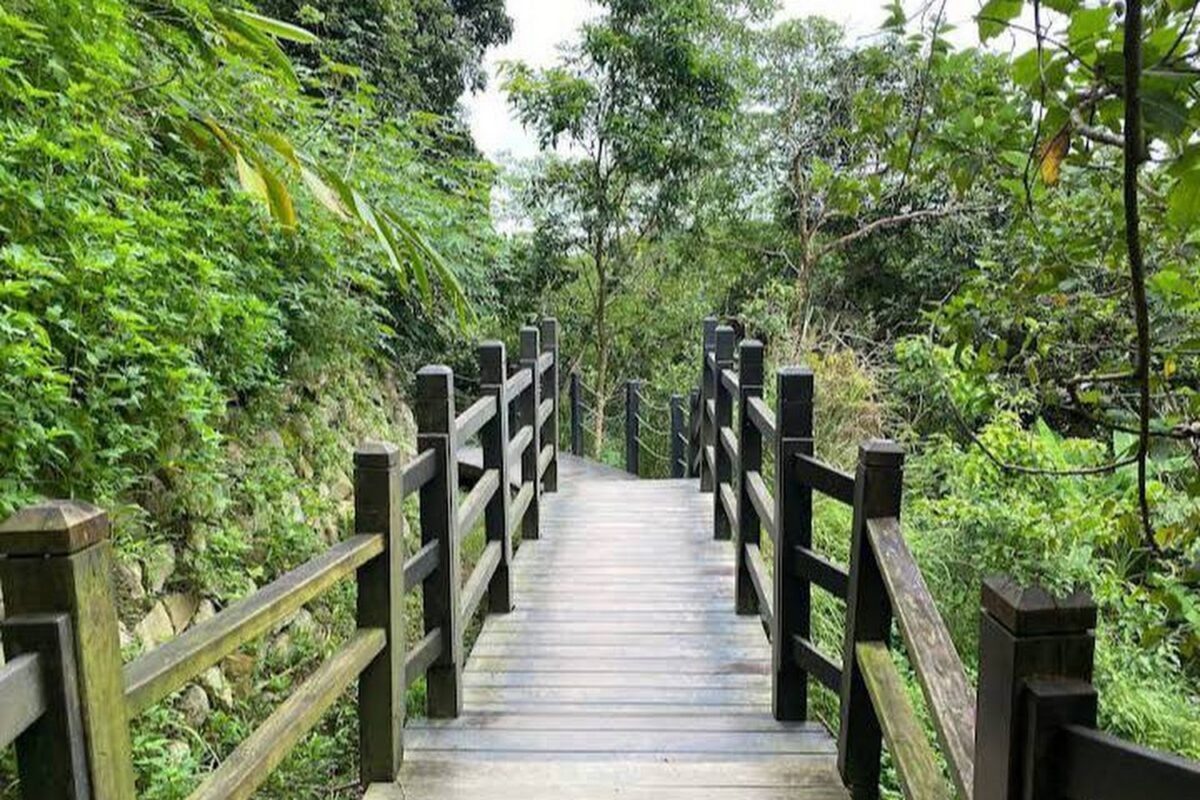 大坑十號登山步道