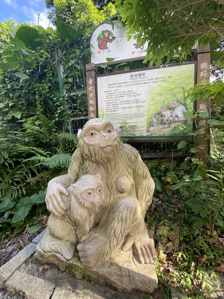天母古道親山步道階梯