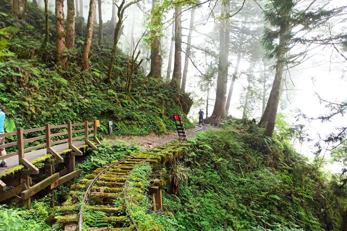 太平山國家森林遊樂區遠眺山谷景觀