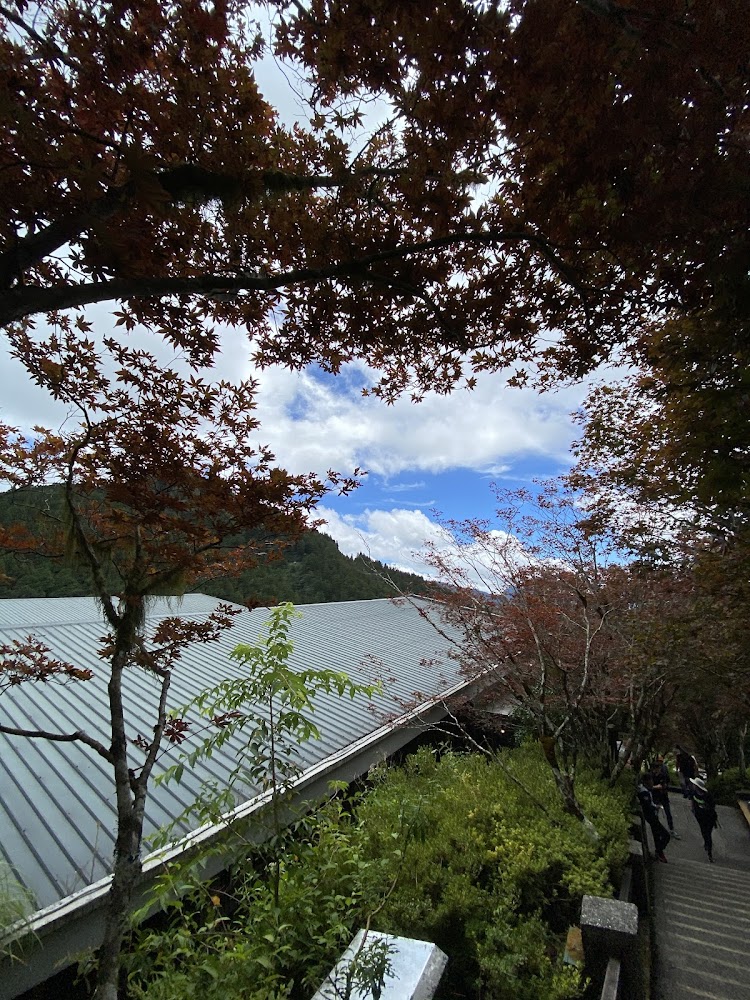 太平山森林步道