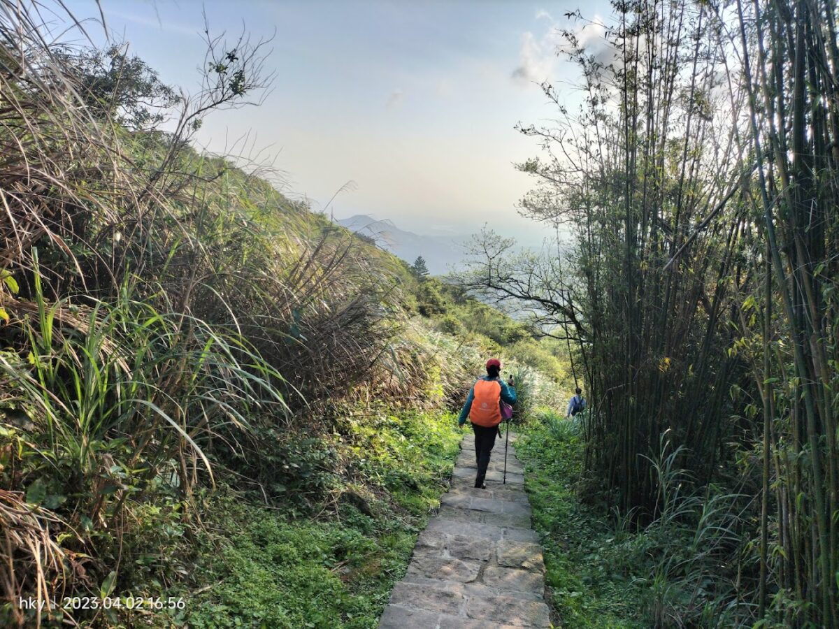頂山石梯嶺步道