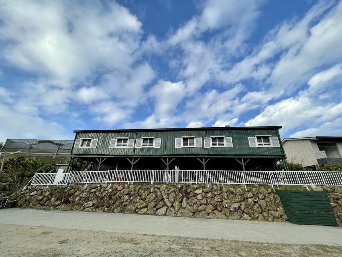 阿里山初日