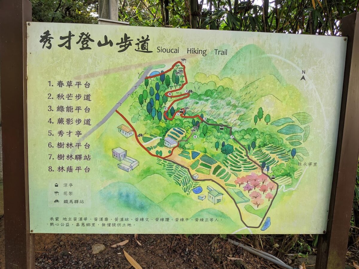 秀才登山步道茶園風光
