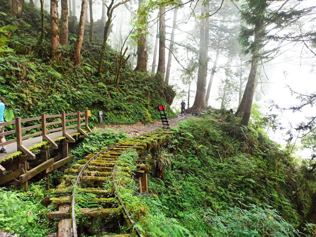 太平山國家森林遊樂區美景