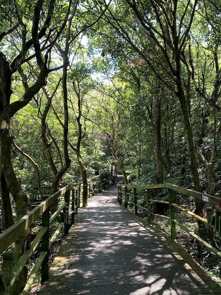 大崙頭森林步道